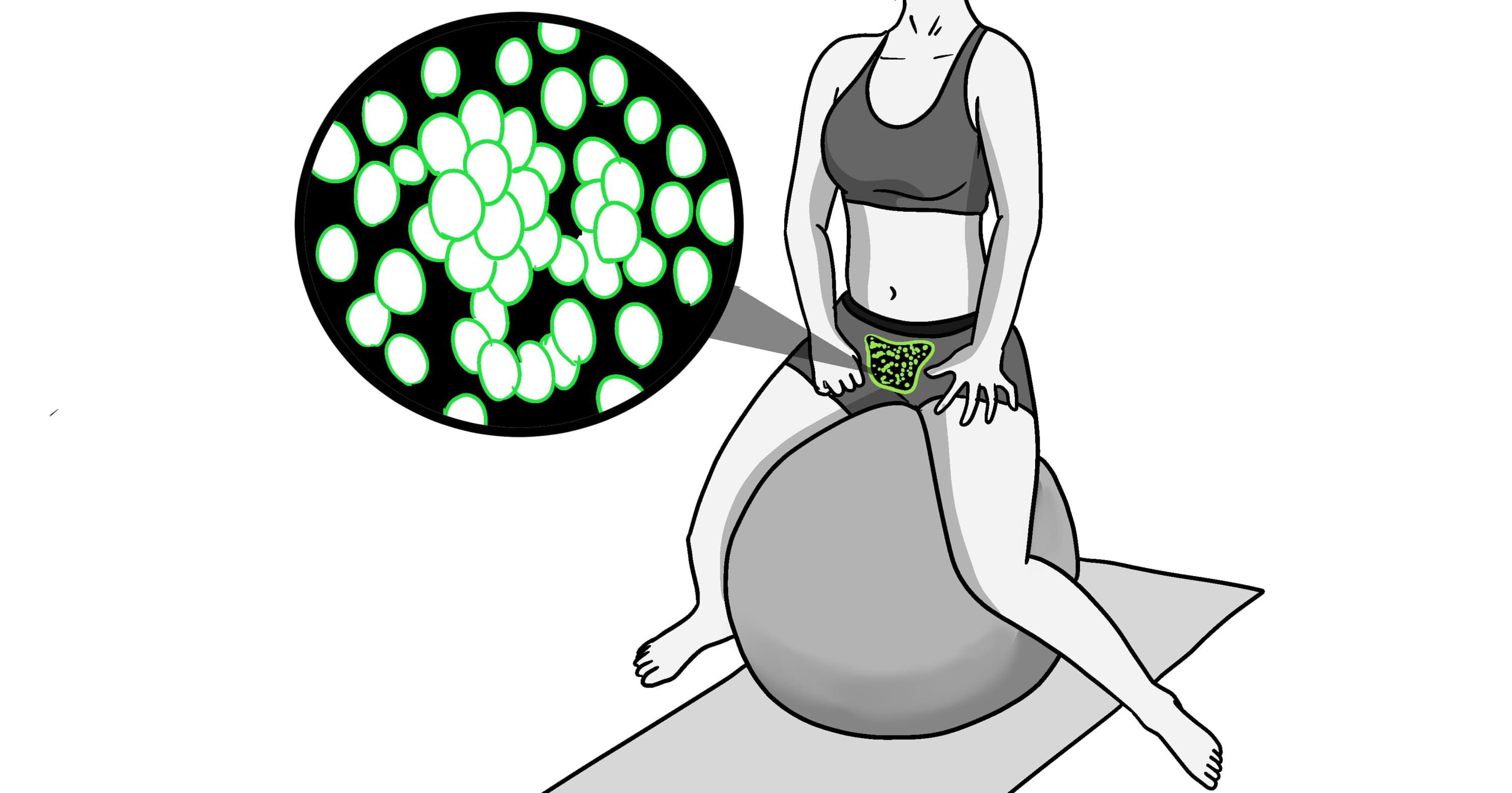 Does Meticore Really Work?